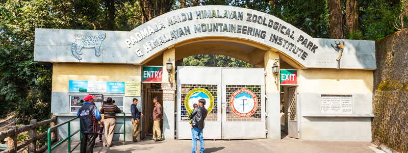 Padmaja Naidu Zoological Park