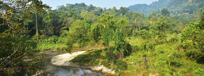 Jaldapara Wildlife Sanctuary