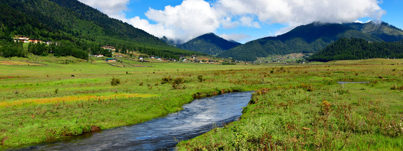 Phobjikha Valley